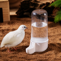 Automatic Chicken Feeder and Waterer Set, Chicken Waterer and Chicken Feeder for Button Quail, Transparent Clear with White Base