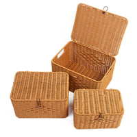 Rattan Storage Box Stylish Shelf Basket Functional for Living Room