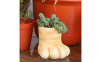 Feline Foot Planter Adorable Paw Shaped Flower Pot Feline Blossom Pot for Patio