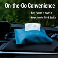 car hanging tissue holder