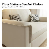 2-in-1 Design Pull-expandable Loveseat Bed Multi-Functional Sleeper Sofa Space-Saving Living Room Furniture long-lasting Frame for Apartment Dwellers, Homeowners, Young Adults, Home Office