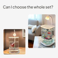 Creative Betta Fish Glass Tank with LED Light, Desktop Decor