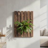 Large Carbonized Wood Fern Mounting Board for Staghorn Ferns and Orchids