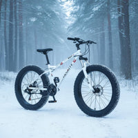 All Terrain 26 Inch Fat Tire Bike Disc Brakes Snow Bike Multi-Speed Outdoor Vehicle Front Suspension for Students
