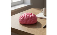 Raised Grooves Brain Squishy Toy Pink Brain Stress Ball Slow Rising Anatomy Stress Ball Handheld
