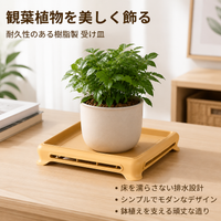 Plant Pot Saucer, 18cm, Pot Dish, For Houseplants, Leak-proof, Resin, Stylish, Indoor, Balcony
