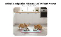 Pet Bowl Placemat Waterproof Feeding Mat Non-Souter rim Floor Covering for Dog Owners, Indoors, Indoor, Kitchen