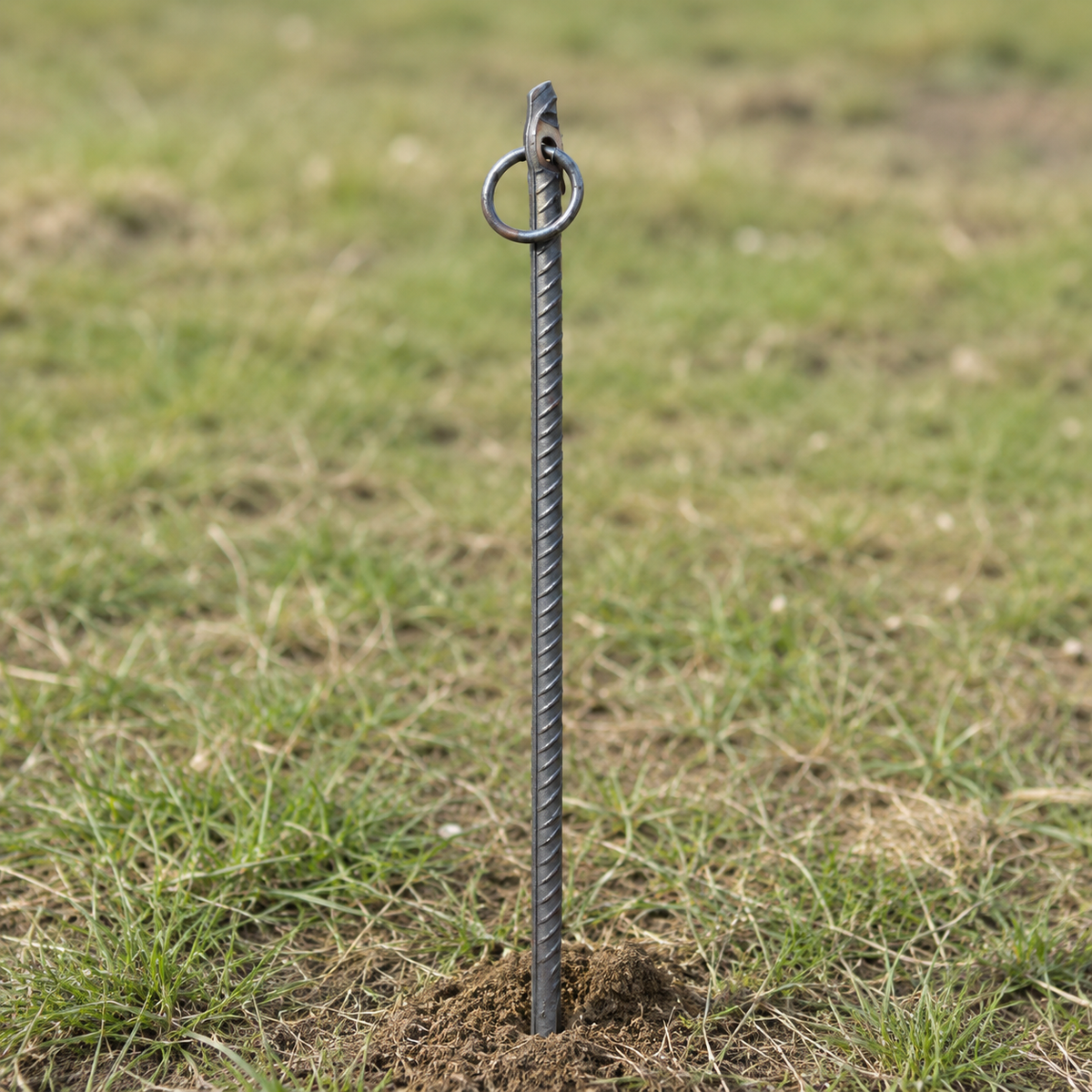ground stake