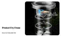 Aquatic Breeder Box High Clearness Buoyant Aquatic Breeding Box Removable Divider Multifunctional for Aquarists