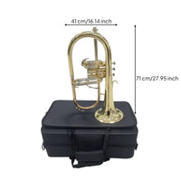 Flugelhorn with Case Rich for Beginners, Rehearsals