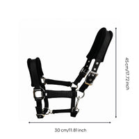 Padded Horse Halter Buckle-and-Loop Fastening Strapping Horse Halter