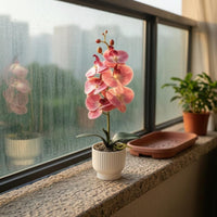Decorative Filler Artificial Flowering Plant Indoor Ribbed Planter Flowering Plant 42 Cm Tall Phalaenopsis Potted Plant Low Maintenance for Home