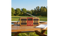 SD Card Playback Portable Multifunction Radio Telescopic Antenna Bluetooth Radio Push Buttons mp3 Player Receiver Front Speaker Grilles