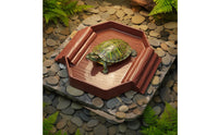 Turtle Bath Base Aesthetic Basking Base Bowl Easy to Clean Tortoise Bath Basin for Aquarium Decor