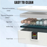 Water Bed Egg Hatchery Constant Temperature Small Egg Hatcher Air Circulation System Household Fowl Hatchery for Hobbyists, Beginners, Classroom