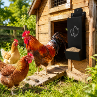chicken feeder