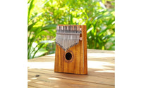 Wooden 21-Key Kalimba Acoustic Kalimba with Safeguarding Case Handheld Thumb Piano with Instructions Compact for Music Lovers, Home