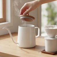 Mini Gooseneck Pour Over Coffee Kettle, 304 Stainless Steel Drip Filter Pot for Home Use