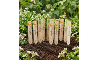 14 Pieces Garden Labels with Stakes Flat Garden Placards Plastic Plant Labels Decorative Markers Reusable for Gardeners