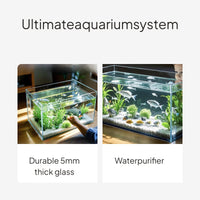 Ultra Clear Glass Desktop Aquarium with Filter and Light