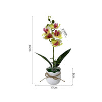 Scalloped Rim Potted Blossom Arrangement Textured Pot Artificial Blossom Plant Rope Bow Simulated Floral Display Indoor