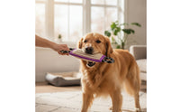 Interactive Dog Tug Toy with Rope Handles Heavy-Duty Dog Tug Toy with Handles Woven Braided for Dogs, Young Dogs