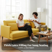 Minimalist Design Metal Frame Sofa Nordic aesthetic Living Room Seating Removable upholstery Couch utilitarian Look for Apartment Dwellers, Homeowners, Interior Decorators, Small Spaces, Office Lounge, Reception Area, Entryway
