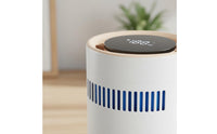 Easy to Clean Negative Ion Air Purifier Humidifier Reduces PM2.5 Humidifier Air Purifier Combo Sleep Mode for Babies Women, Office