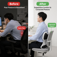 back support cushion
