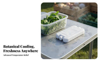 Reusable Ice Pack Leak-Spill-Resistant Reusable Freezer Easy to Use to Clean Freezer Block for Campers, Nursing Parents, Camping, Picnics