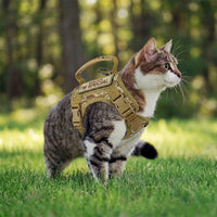 Cat Walking Harness and Leash Set, Vest Style Polyester Adjustable Secure Harness with Handle, Bungee Training Leash and Patches for Outdoor Pet