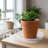 Plant Saucers in Bulk, Resin Drip Tray with Grooves for Outdoor Use, Not Easy to Deform Flowerpot Saucer Set for Floors