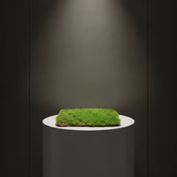 Artificial Moss Panel Natural-Looking Moss Mat Faux Grass Panel Dense Grass Wall Backdrop Textured for Event Planners