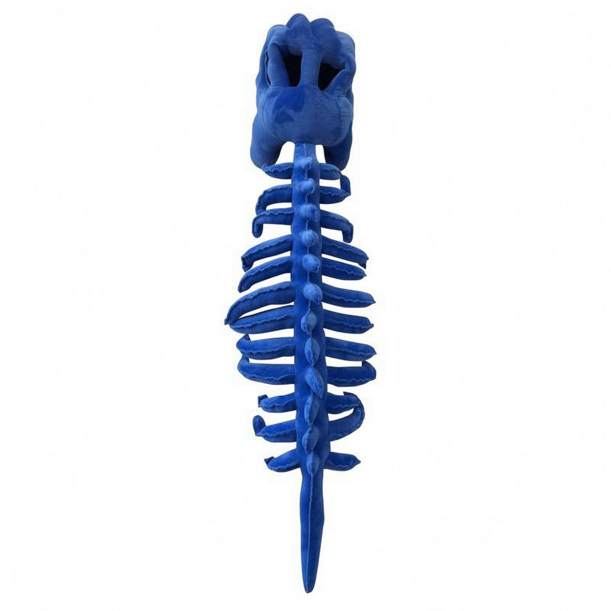 Dinosaur Skeleton Headpiece Child Size Stuffed Skeleton Suit Piece Vacuum Compressed for Children