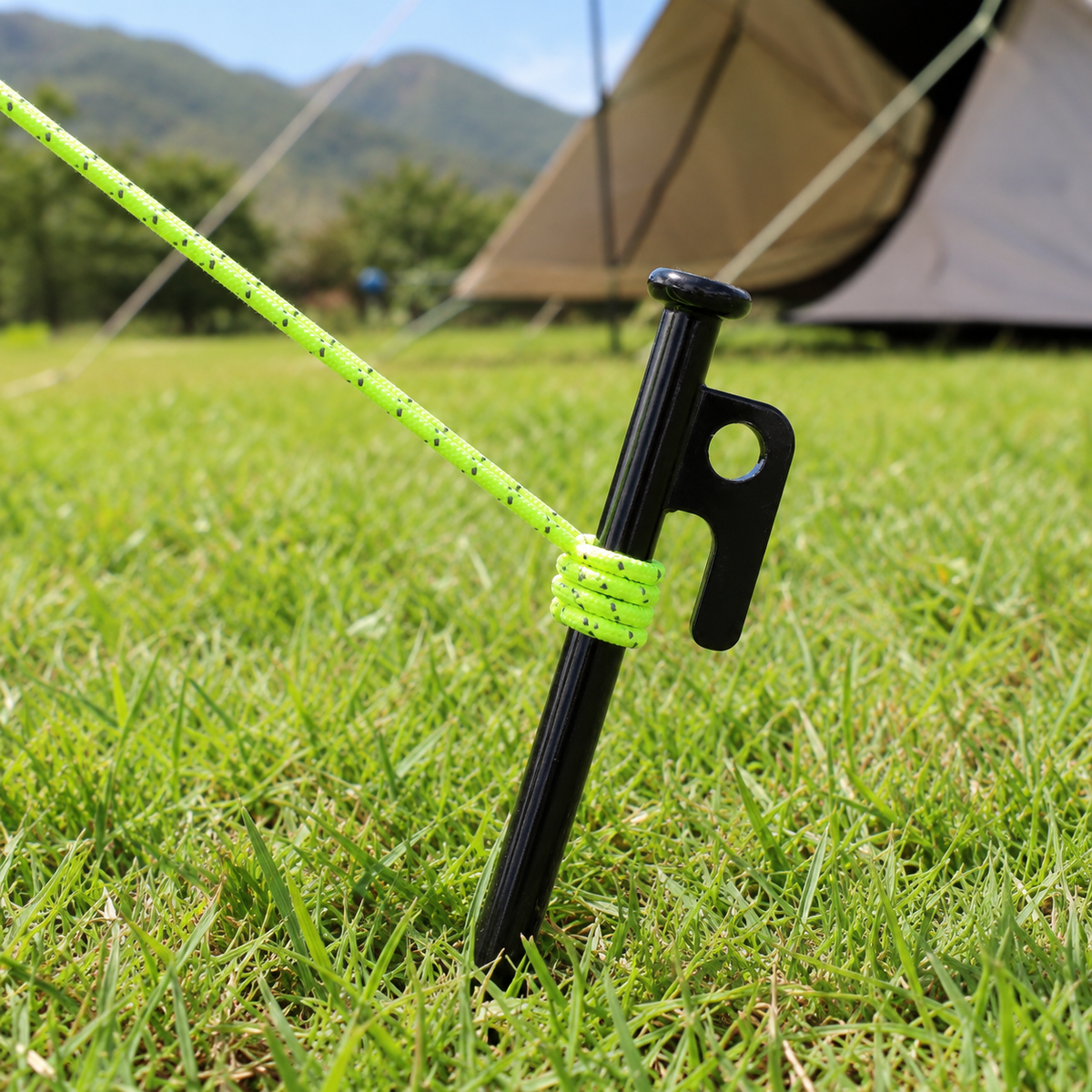 tent stakes and guy lines