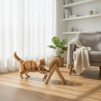 Interactive Rotating Cat Scratcher Ball Compact Cat Scratching Ball on Stand Space-Saving Pet Toy Stylish for Kittens