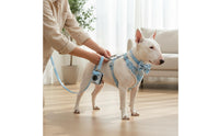 Easy to Wear Velvet Dog Harness Leash Set Adjustable Dog Vest Leash Set Lightweight Slip-on Harness Breathable for Walking, Outdoor