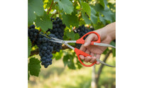 Fruit Thinning Shears Reduces Hand Strain Fruit Scissors with Clamp Tweezer Scissors Lightweight Design Garden Pruner