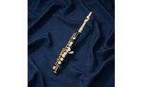 Strong Projection C Key Piccolo Bright Tone Silver Plated Piccolo High Tuning Wind Instrument Compact Size for Professionals, Students, Concert, Orchestra, Practice