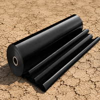 HDPE Geomembrane Pond Liner for Landscaping, Heavy Duty Puncture Resistant Anti-Seepage Waterproof Liner Black Pond for Water Features