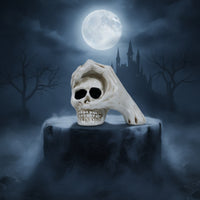 Cranium with Spectral Hand Halloween Cranium Ornament Small Decorations for Goths, Party Hosts, Spooky House, Office Desk