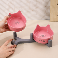 Elevated Ceramic Dog Bowls with Stand, Double Cat Bowls for Neck Strain, Spill-resistant Pet Feeding Station for Digestive Issues
