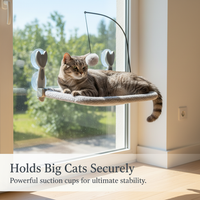 Window-Mounted Cat Hammock Bed with Suction Cups and Toy