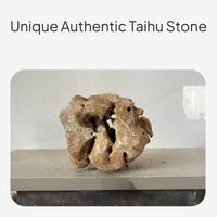 Taihu Stone Ornament for Aquarium and Bonsai Decor