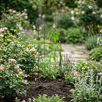 Black Iron Trellis for Garden Borders, Rust-Resistant Plant Support for Climbing Plants, Modern Decorative Metal Trellis
