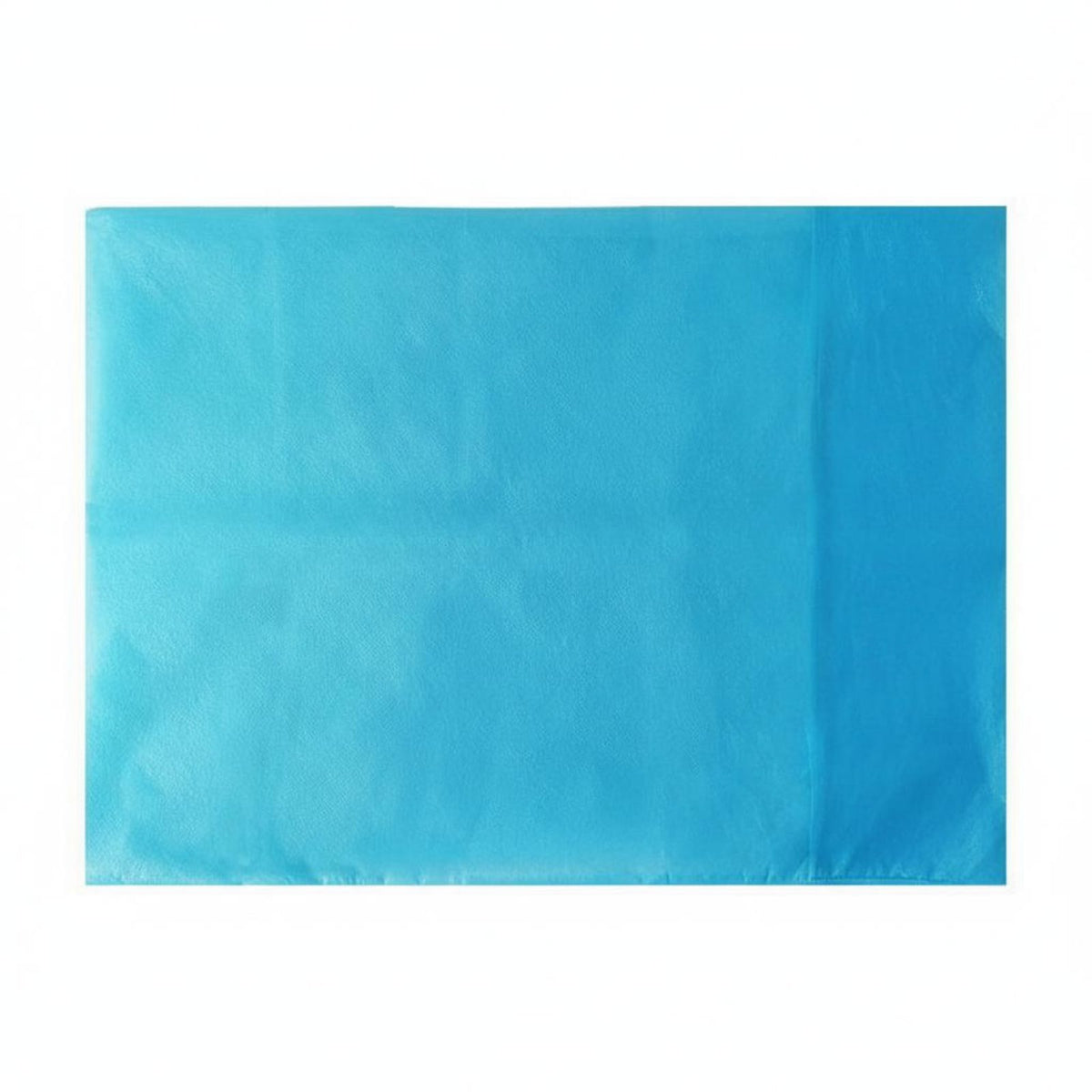 10 Pieces Ultra-Thin Disposable Waterproof Pillowcase Hygienic Medical Non-Woven Pillow Cover Lightweight for Medical Facility S