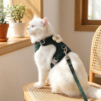 Soft Polyester No Pull Escape Proof Vest Harness and Leash Set for Dog Walking, Patterned Walking Harness for Outdoor Pet, Travel Pet Harness