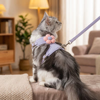 Cat Harness and Cat Leash Set, Decorative Vest Walking Harness with Back Leash Attachment, Adjustable Harness for Outdoor Cat Travel Training