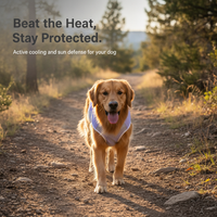 Pet Cooling Vest for Dogs, Breathable Sun Protection Summer Shirt for Small to Large Breeds