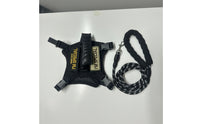 Cat Harness with Leash Adjustable Cat Harness and Leash Set Breathable Padded for Cats, Outdoor Walks, Travel